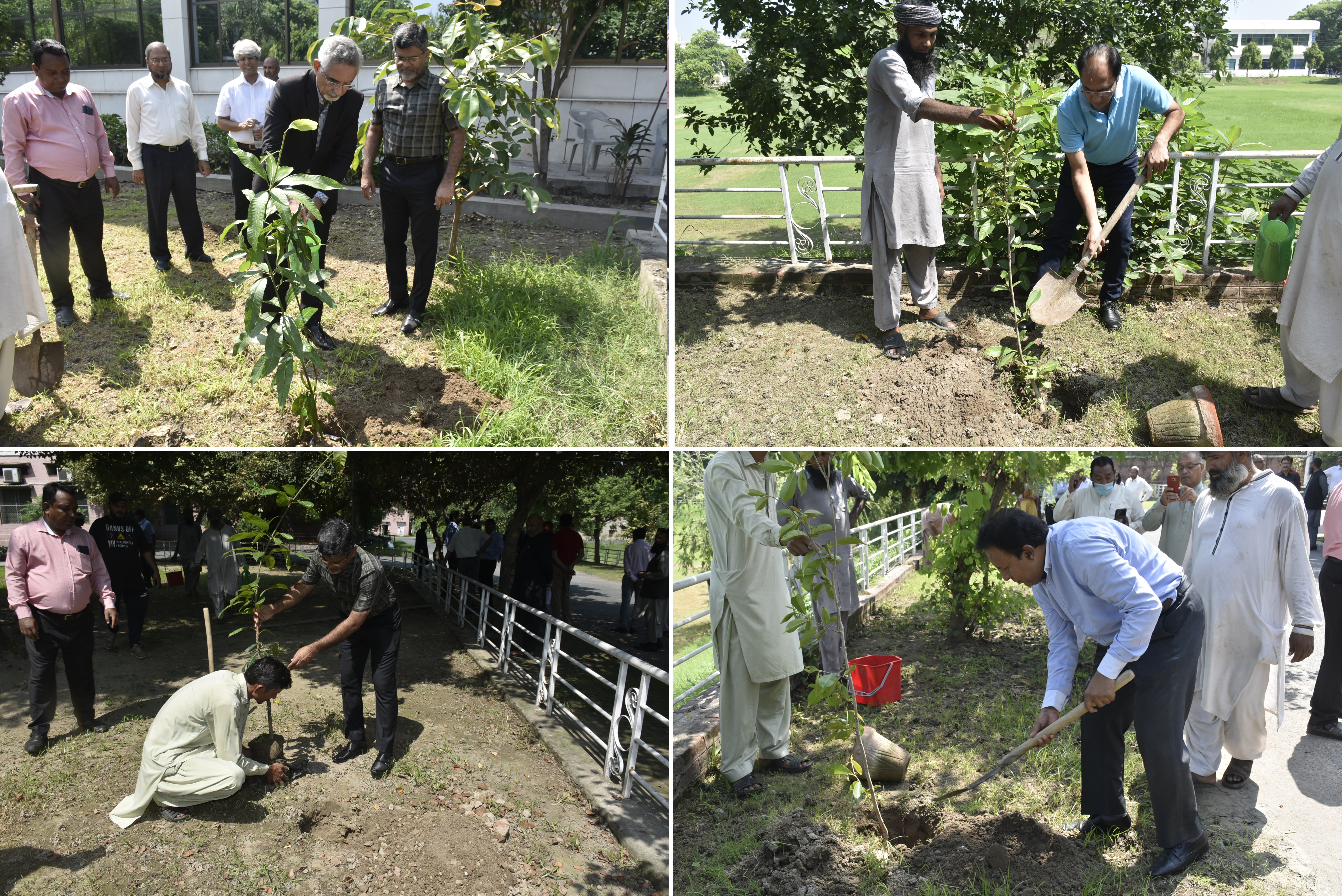 images_press_garden