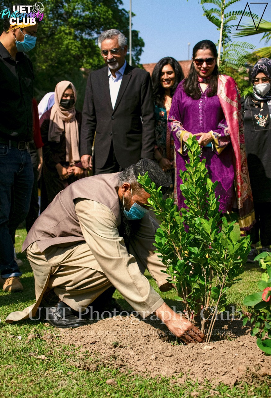 Tree Plantation at UET